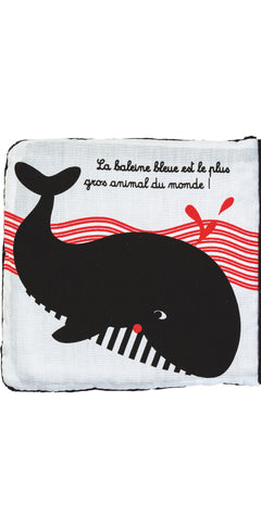 Dans les océans