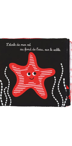 Dans les océans