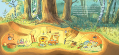 Cache Cache Lapins - Poche