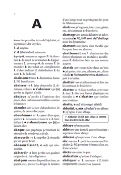 Dictionnaire Mini Larousse