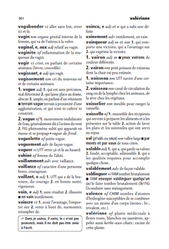 Dictionnaire Mini Larousse