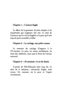 À Félix Édouard, mon fils, mon héros
