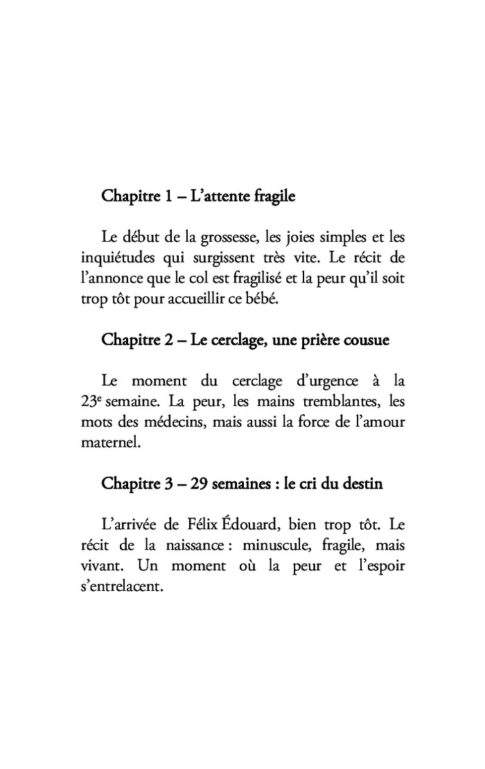 À Félix Édouard, mon fils, mon héros