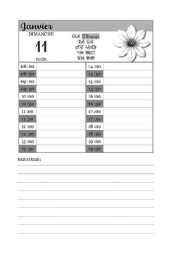 Agenda du Tarot 2026