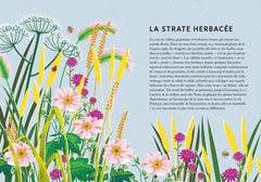 Renaturer son jardin