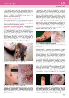 Dermatologie et infections sexuellement transmissibles
