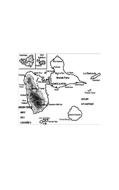 Les esclaves de la mangrove