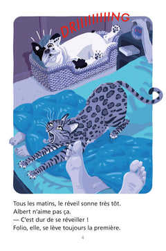 Albert et Folio : Halte aux voleurs !
