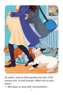 LFF - Albert et Folio : Un heureux évènement (A1)