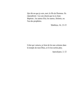 Papillon de cendre
