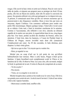 Papillon de cendre