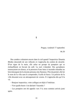Papillon de cendre