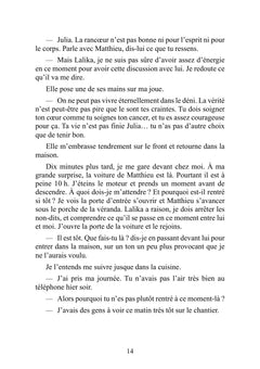 Les Ailes froissées