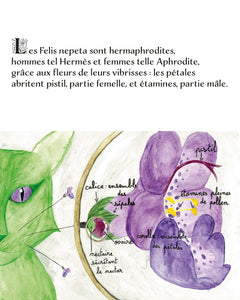 Les Felis nepeta et l'arbre qui soigne les âmes