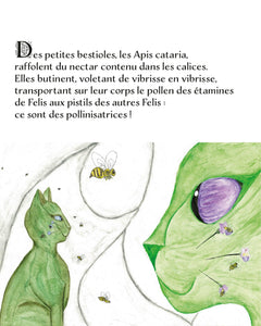 Les Felis nepeta et l'arbre qui soigne les âmes