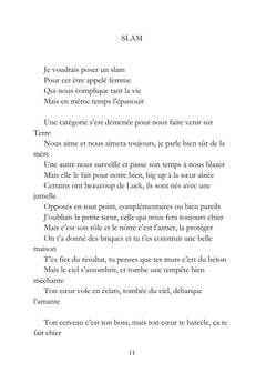 De Schopenhauer à Platon