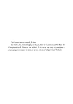 Qui a effacé Martin Sontag ? - Une enquête d'Alex Brismontier