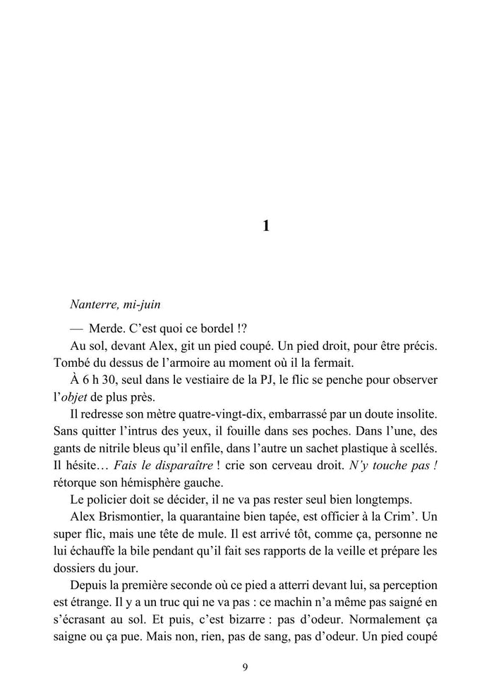 La coulée maudite - Une enquête d'Alex Brismontier