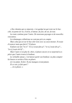 Chroniques d'un lent détachement - Autopsie d'une rupture