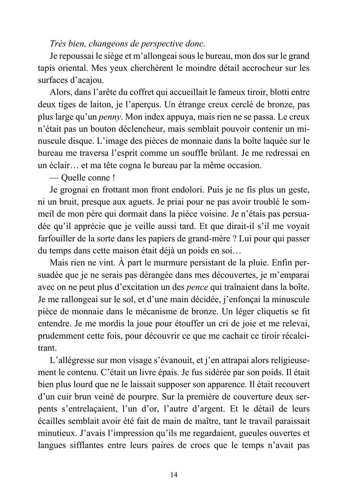 Le Livre de Sthorm - Tome I : Les Runes