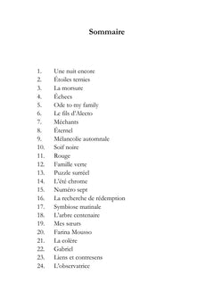 Le Carnet Roumain - Tome II : Zénith flamboyant et flocons soyeux