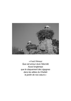 Camille dans les jardins de Chellah