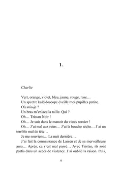 Tristan Noir - Cache-Coeur, la ville du bizarre - Livre 2
