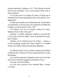 Tristan Noir - Cache-Coeur, la ville du bizarre - Livre 2
