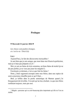 Les tribulations de Lily