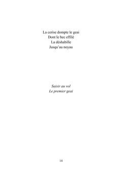 Écho-ésie IV