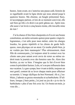 La Factrice - Meurtres à Sideville