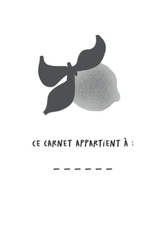 Carnet Citrons