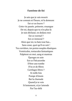 Fragments d'éclats