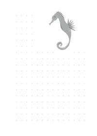 Carnet Sea-cret Notes