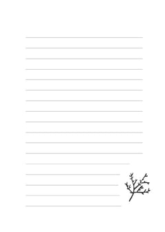 Carnet Sea-cret Notes
