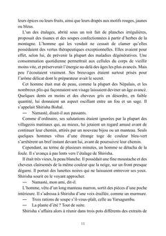 Dayahl - Le Royaume d'Estray