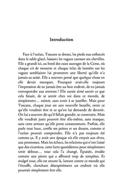 L'océan de mes illusions