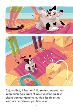 LFF - Albert et Folio : Une nouvelle famille (A1)