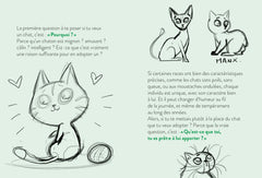 Le monde dont tu es le héros - Adopter un chat - 7/9 ans CE1/CE2