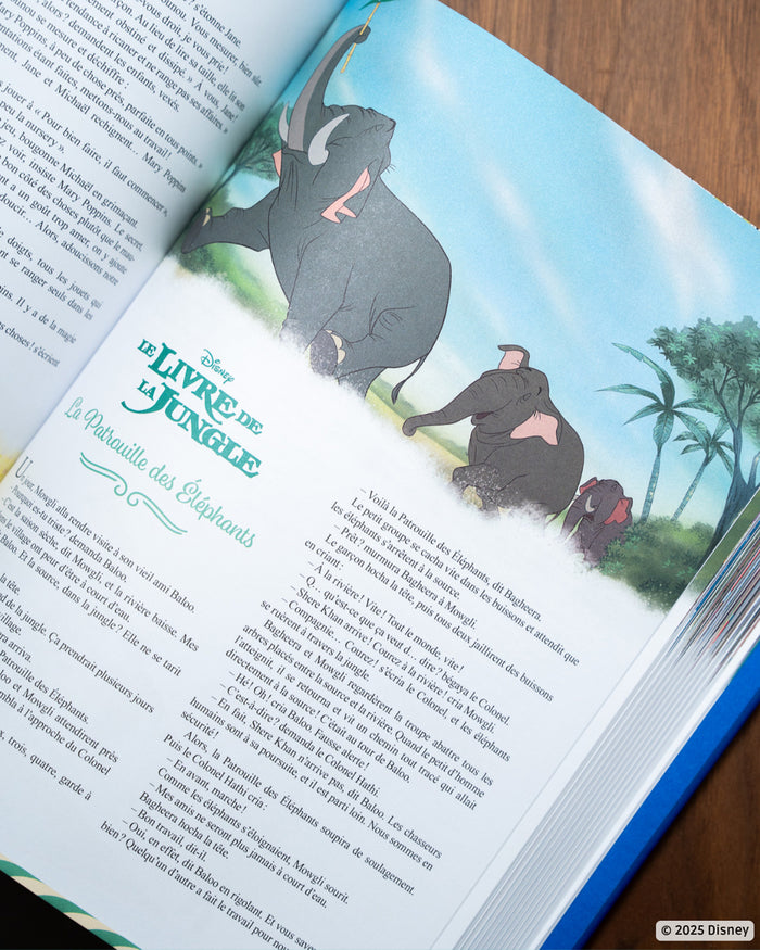 DISNEY - 365 histoires pour le soir - Les Grands Classiques