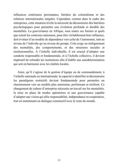 L'audace africaine - L'entreprise comme laboratoire d'un continent en action