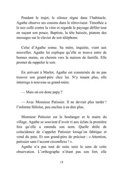 Le Père Noël a disparu ! Les enquêtes d'Agathe Revais - Tome 1