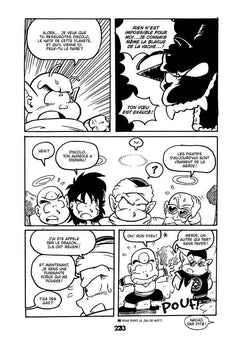 Dragon Fall Ultimate T04