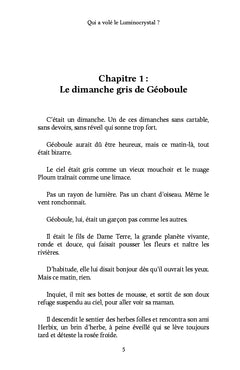 Qui a volé le Luminocrystal ?