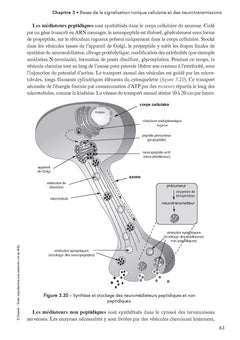 Pharmacologie - 5e éd.