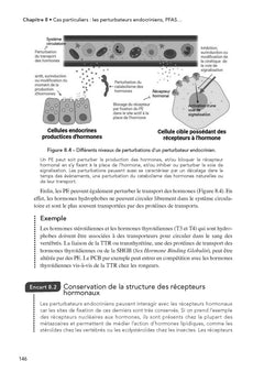 Écotoxicologie - 2e éd.