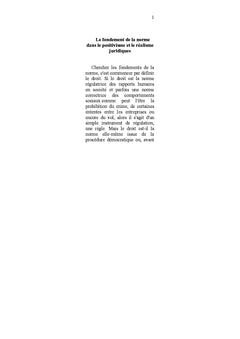 Du positivisme au réalisme juridique