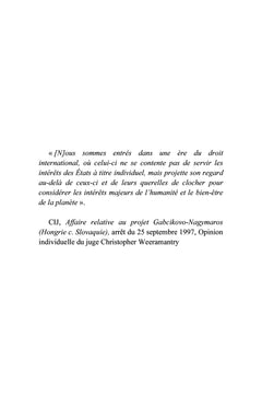 La Cour internationale de Justice et la protection de l'environnement
