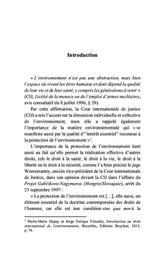 La Cour internationale de Justice et la protection de l'environnement