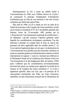 La Cour internationale de Justice et la protection de l'environnement